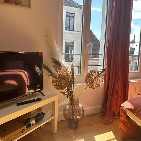 Lerelaisdodile - Cosy Au Vieux-lille * Lilla