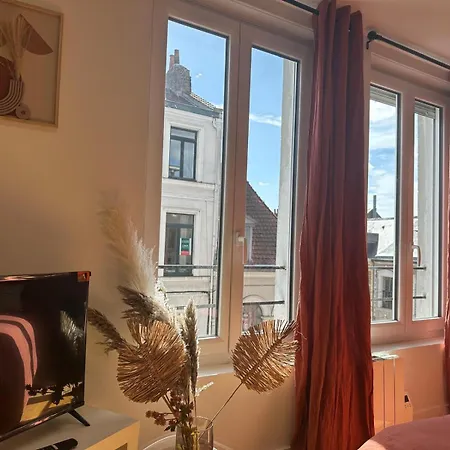 Lerelaisdodile - Cosy Au Vieux-lille Lila