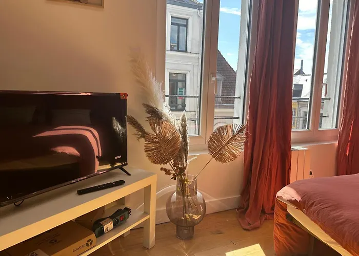 Lerelaisdodile - Cosy Au Vieux-lille * Lilla