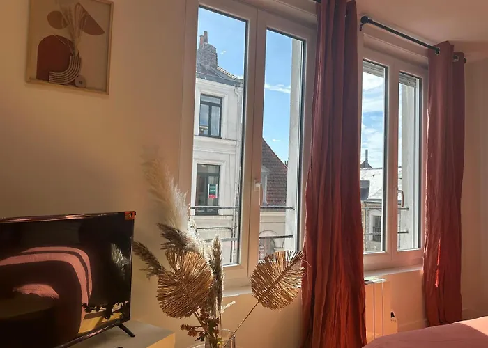 Lerelaisdodile - Cosy Au Vieux-lille Lilla